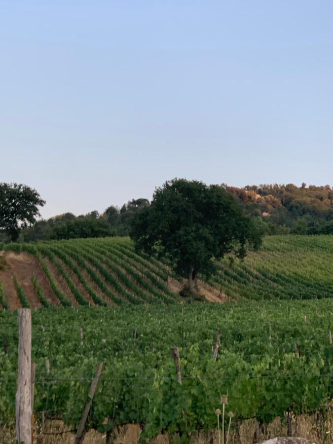 Podere Le Mulina Castiglione d'Orcia Exterior photo